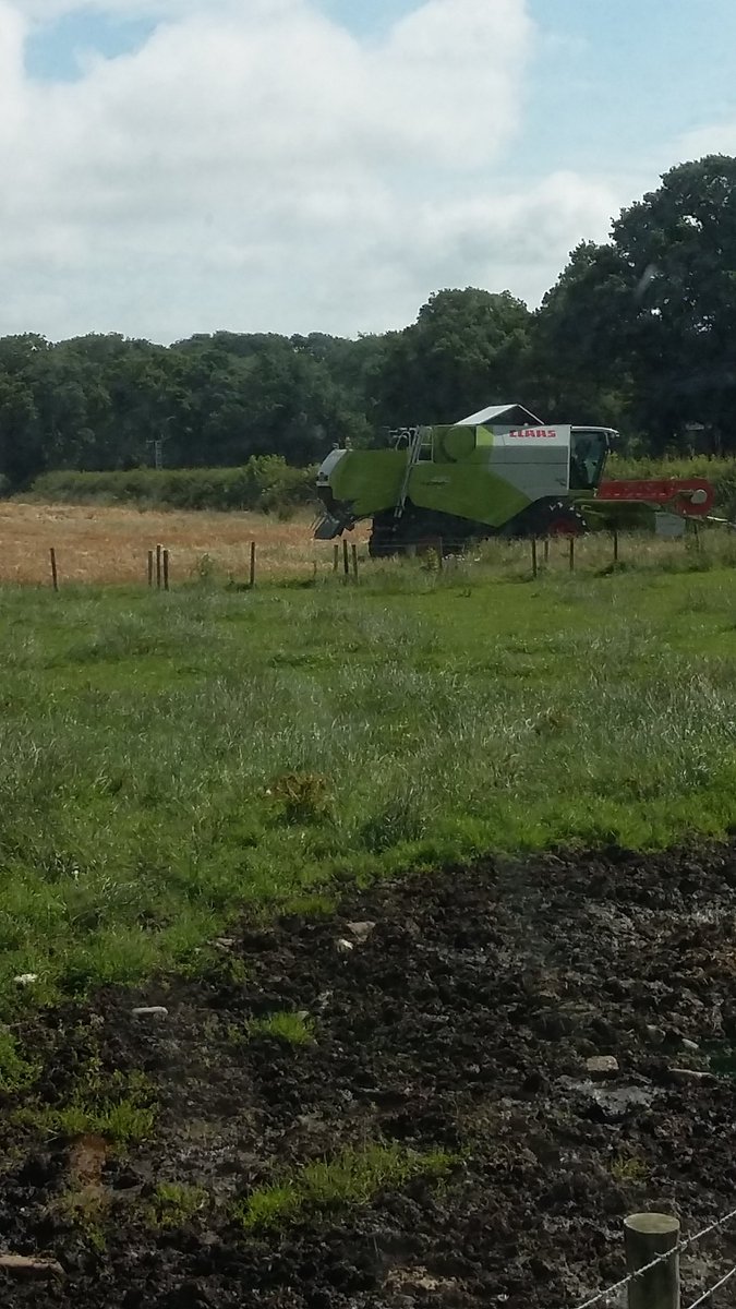 Col14Tom's tweet image. Busy day @ortongrange combining barley mowing for second cut sun stay out😎🌞🌞