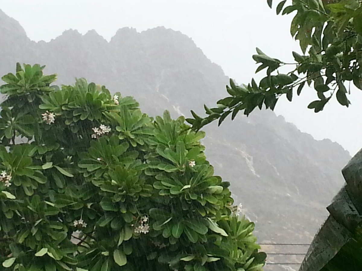 الحمدلله أمطار غزيرة في #حيل_بني_غريب بــ#ولاية_عبري ولله الحمد والمنة