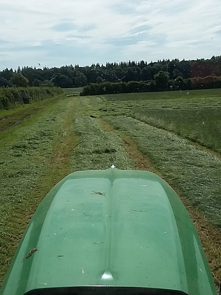 Col14Tom's tweet image. Busy day @ortongrange combining barley mowing for second cut sun stay out😎🌞🌞