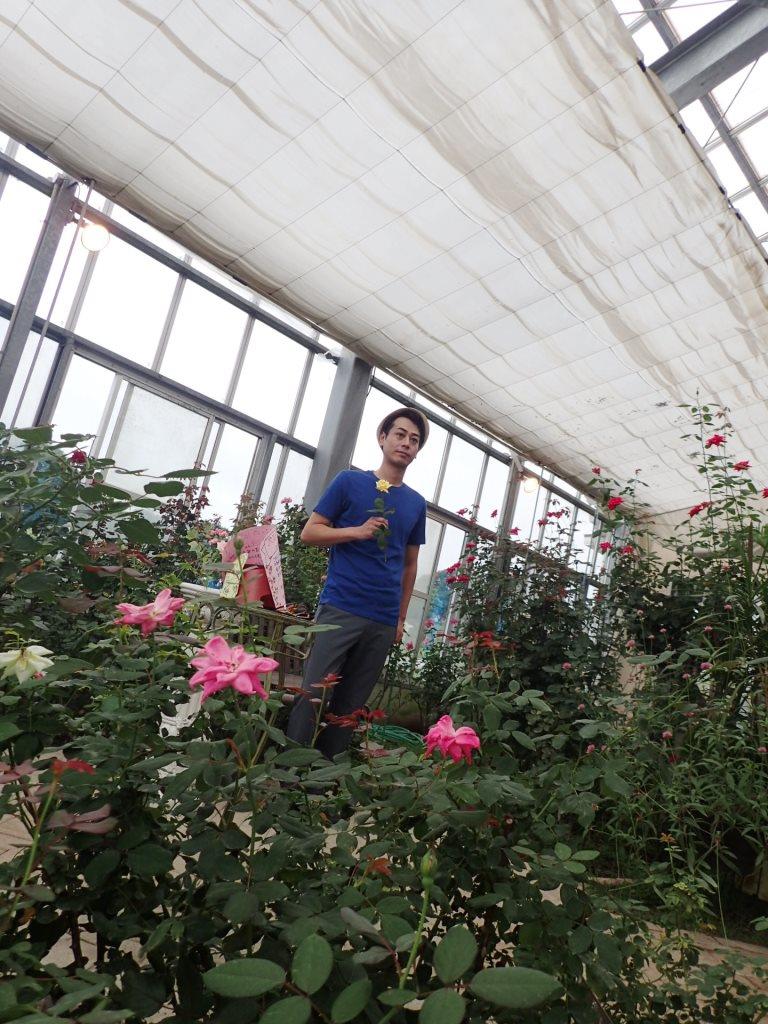 かのや薔薇王子 Kanoyabaraoji Twitter