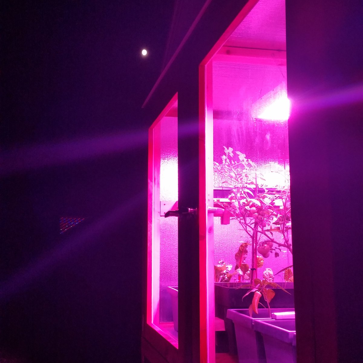 LEDVEGETABLE's tweet photo. Burning the #midnight sun with LED #veg. Take control of your veg day or night. https://t.co/1u7eJV8cqk
#gardening https://t.co/NQ7Yanrqlv