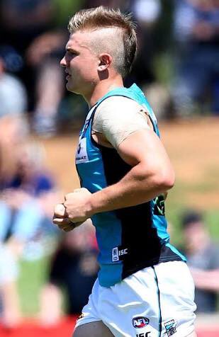 Bring back the hawk <a href="/wines16/">Ollie Wines</a>