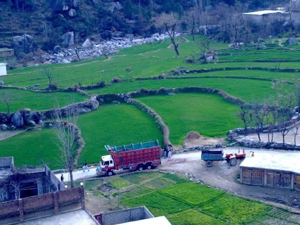 Buner - Official tweet media