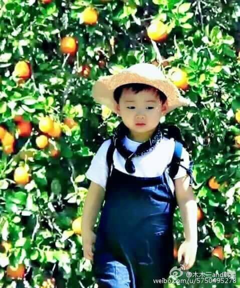Charisma_HanBin's tweet photo. HANBIN vs Minguk 🍊🍊🍊🍊 ㅋㅋㅋㅋㅋㅋㅋㅋㅋㅋㅋ https://t.co/GHLveJoO8e