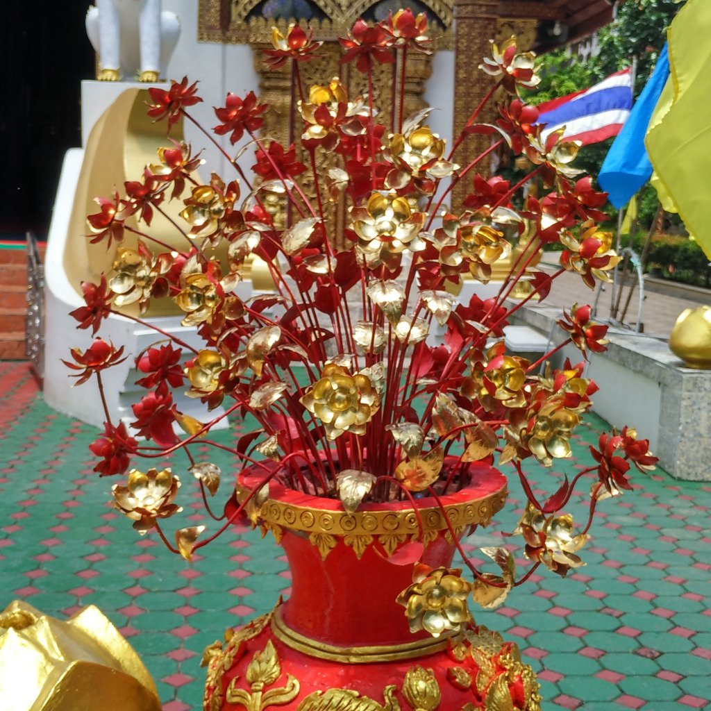 bugsonthego's tweet photo. Wat Phra Singh #red #golden #temple #flowers #doingitlocal #livingthedream #bloggerstyle https://t.co/BLGW31d75r