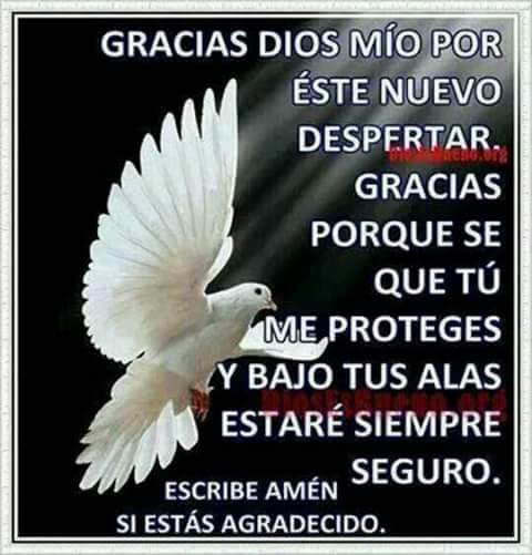 DeysiZ33's tweet photo. Buenos días y a disfrutar de la manera mas sana otro nuevo día que Dios nos da @sarariquiroz @edithmarquezm18 https://t.co/dhLDTyzkij