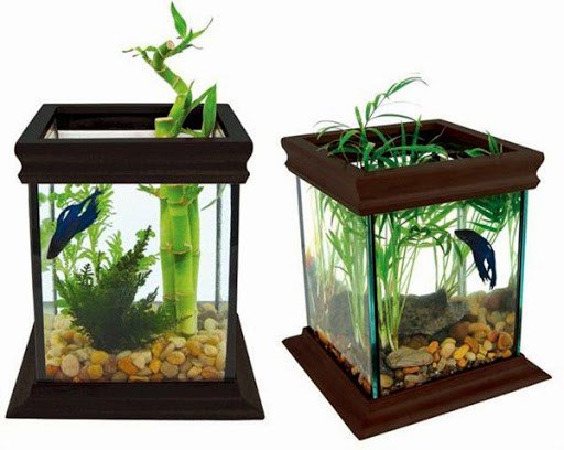Fokusnews On Twitter 15 Desain Contoh Model Aquarium Minimalis