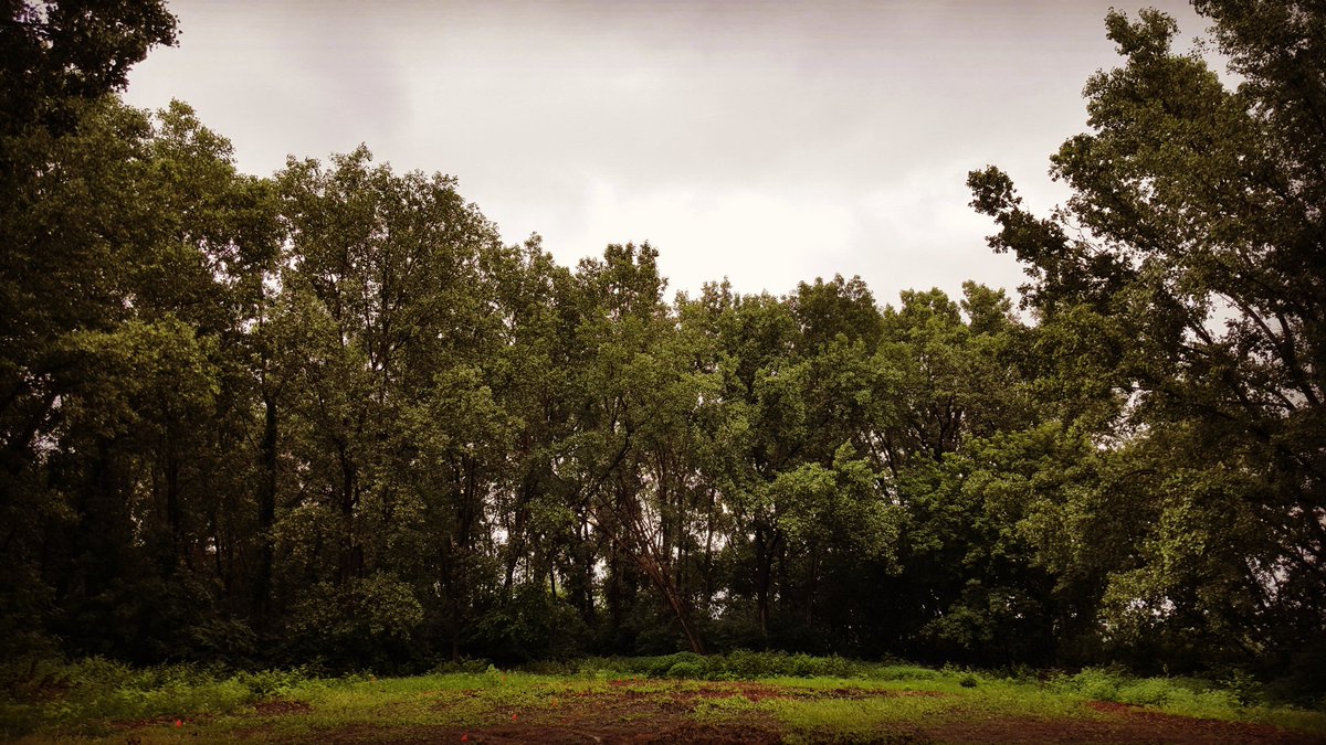 The tent is gone, what are we up to now? Find out this Fall at Terror on the Fox! #terroronthefox #twenty #XX