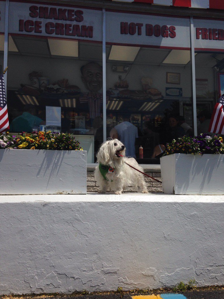 KnightAristotle's tweet photo. Happy National Ice Cream Day! This is at Red Rooster Drive-in in Katonah, NY. @AmyFreeze7 @ABC7NY #bigdogsunday https://t.co/jTWQZaJQUH