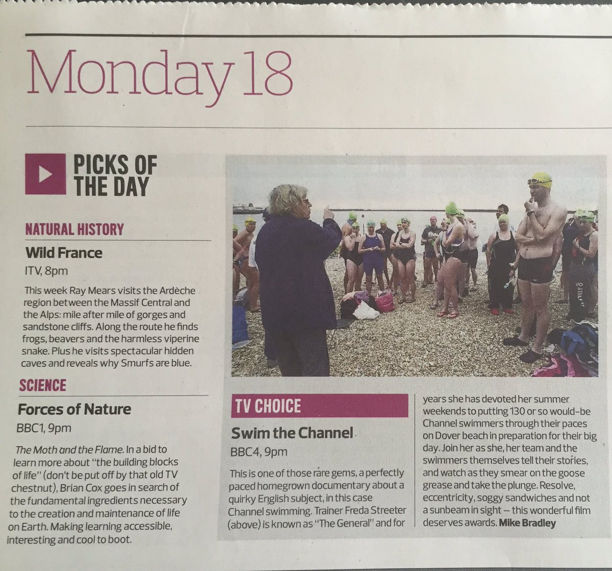 Swim The Channel tweet media