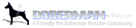 dobermanchat's tweet photo. @LIBERTY4JUSTICE  welcome to Twitter https://t.co/0B0MxsU6ad