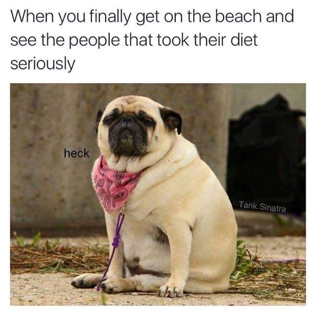BeckyLou_K's tweet photo. I feel this adequately summarises my weekend experience on the Costa Brava. https://t.co/AOtaJknSxq