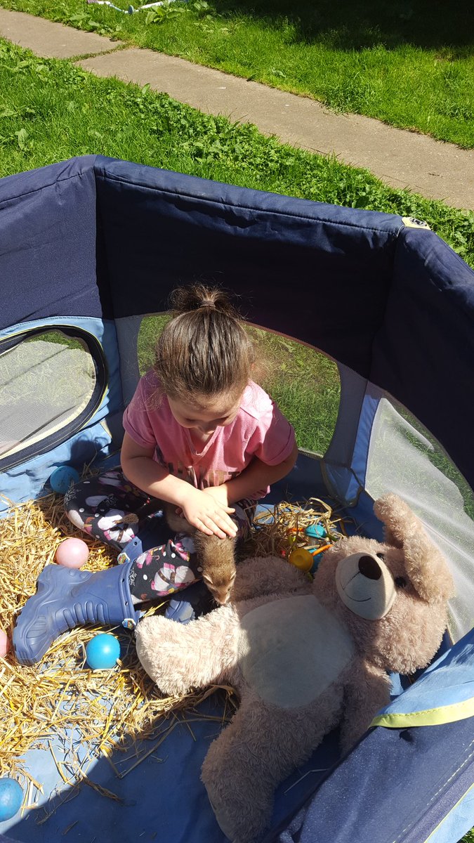 Marmites1's tweet photo. A 4year old girl and her ferret Barley https://t.co/t4wrTu3rB9