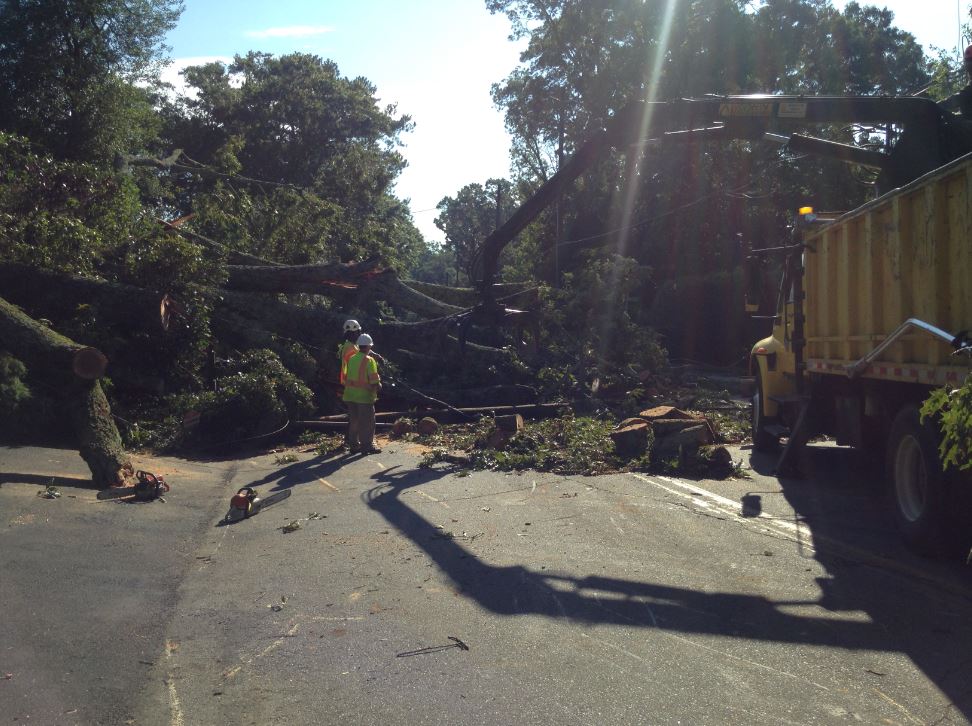 Crews clearing tree at Arden Rd in Buckhead. Lots of trees down/outages from Sat. storms on.11alive.com/29HaQUR