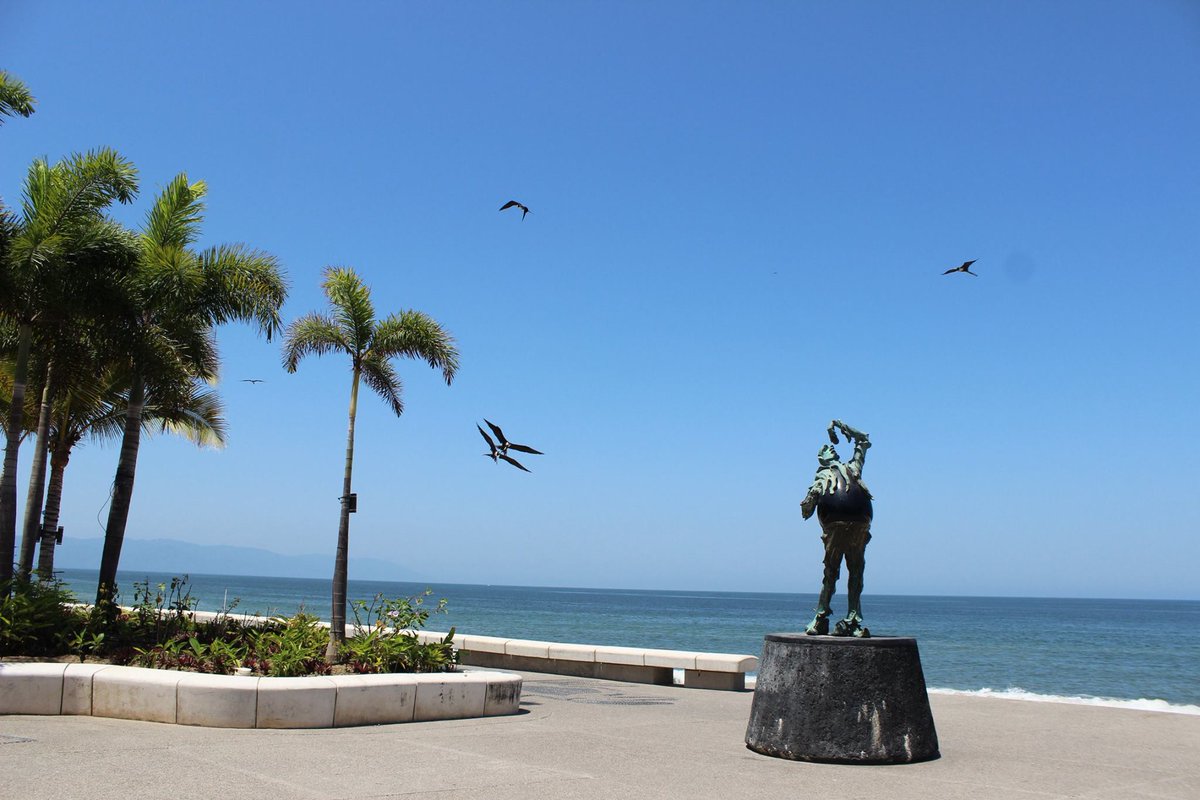 GobVallarta's tweet photo. #BuenosDías #PuertoVallarta. Este domingo se estima un día con temperatura máxima de 31ºc y mínima de 25ºc  ⛅️ https://t.co/Su61s6eBWw