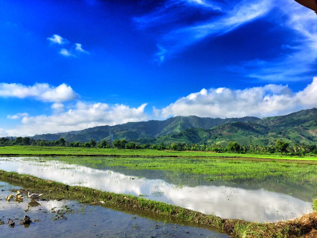 Surainaaaaa's tweet photo. At farm😊 https://t.co/Ql6g37ZVi9