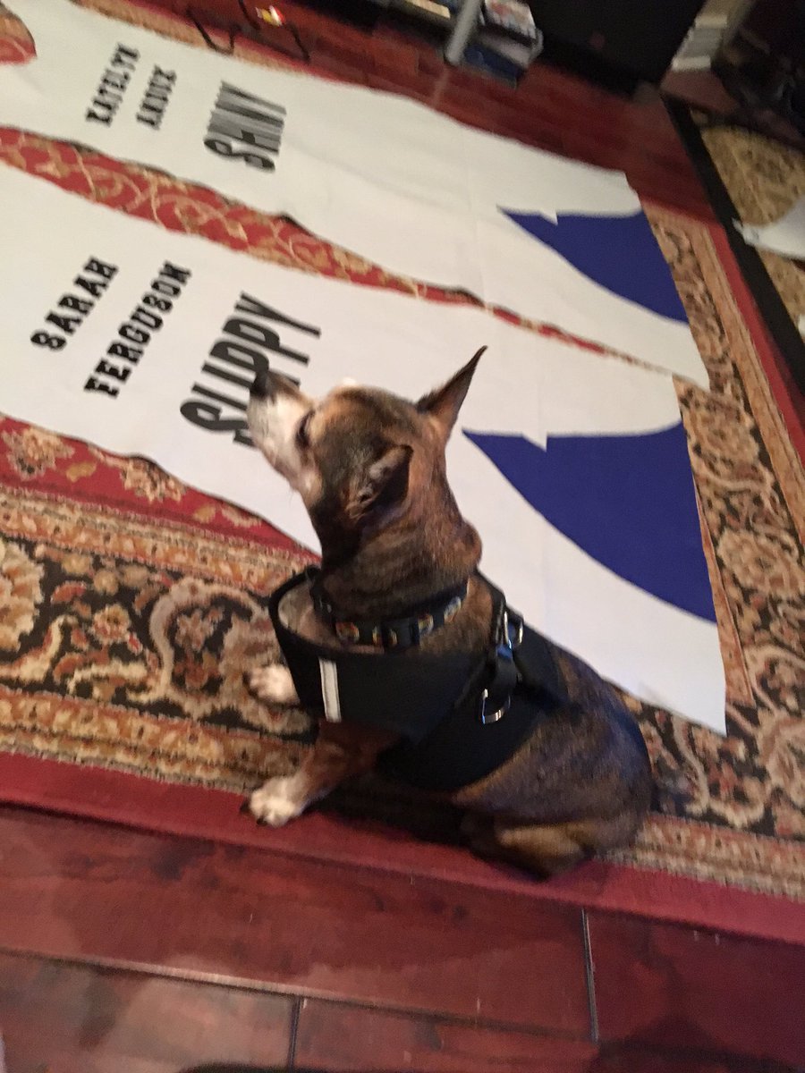 officialGKband's tweet photo. Ready for marching band season! #drummajor #madethesemyself #lookinggood #musiceveryday #mydogiscool #TCBROCKS https://t.co/XXMSWI56UN
