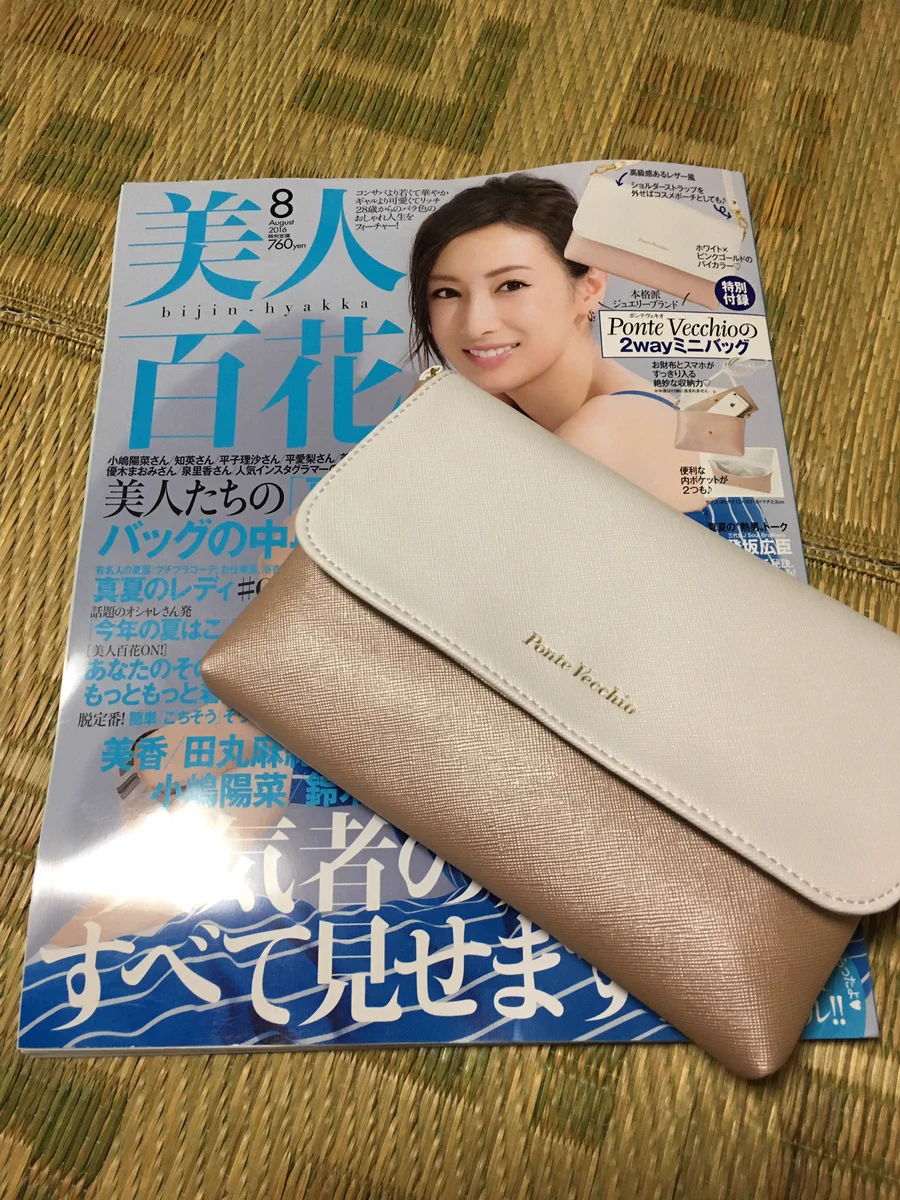 今月号の美人百花の付録が3DSLLのケースにぴったり！オシャレだしこれは買い♥♥