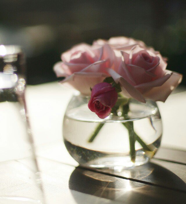 너 자신이 되어라
다른 사람은 이미 있으니까
   - 오스카 와일드