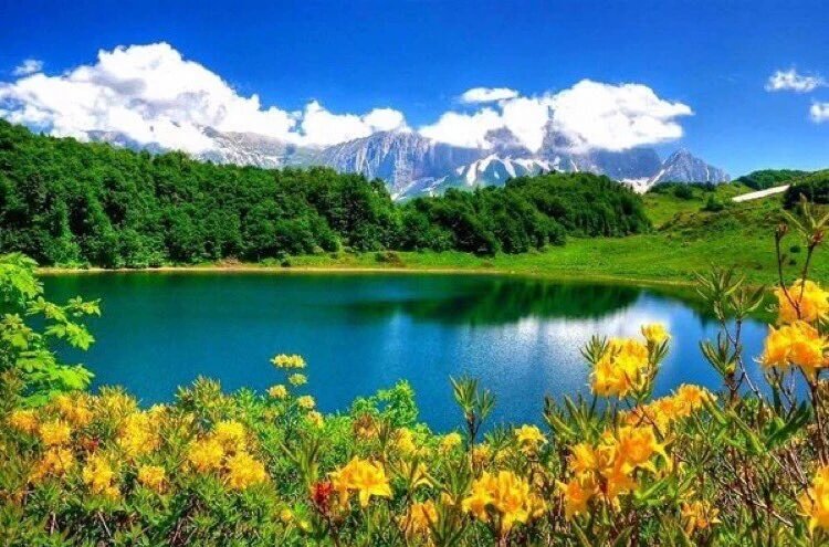 <a href="/zaildacoirano/">Zailda Coirano</a> <a href="/GONZALEZRAN1974/">Ramnulf</a> <a href="/zailda/">Zailda Coirano</a> <a href="/espanholdiadema/">Maestra</a> <a href="/ptbrazil/">Professora</a> <a href="/lvsosidiomas/">SOS Idiomas</a> <a href="/Myworksheets/">MyEnglishWorksheets</a> @ELITE_LEGENDZ_