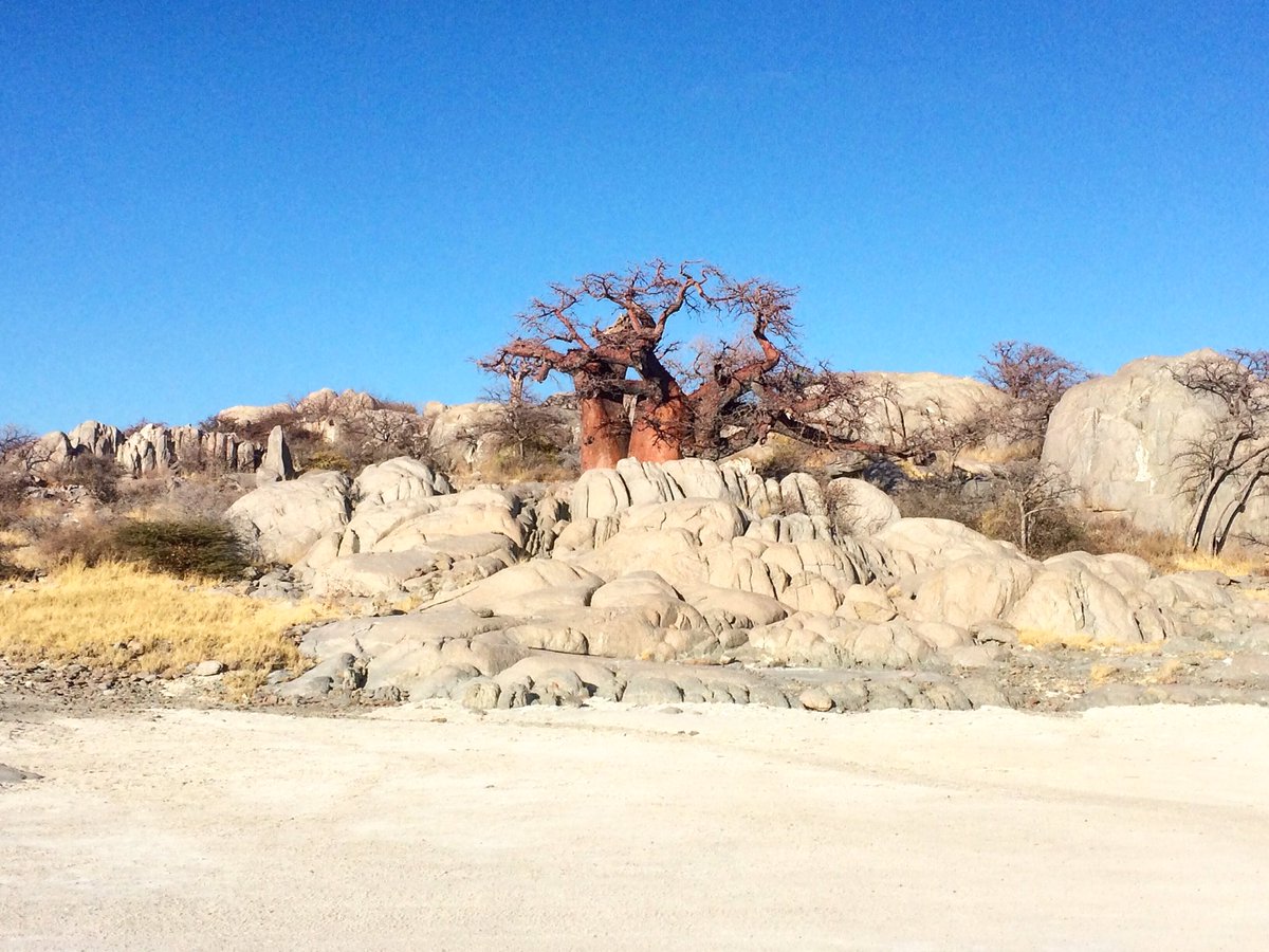 Getting #LostInBots again! This time out in the #Makgadikgadi for a sleep out on the pans! #Botswana