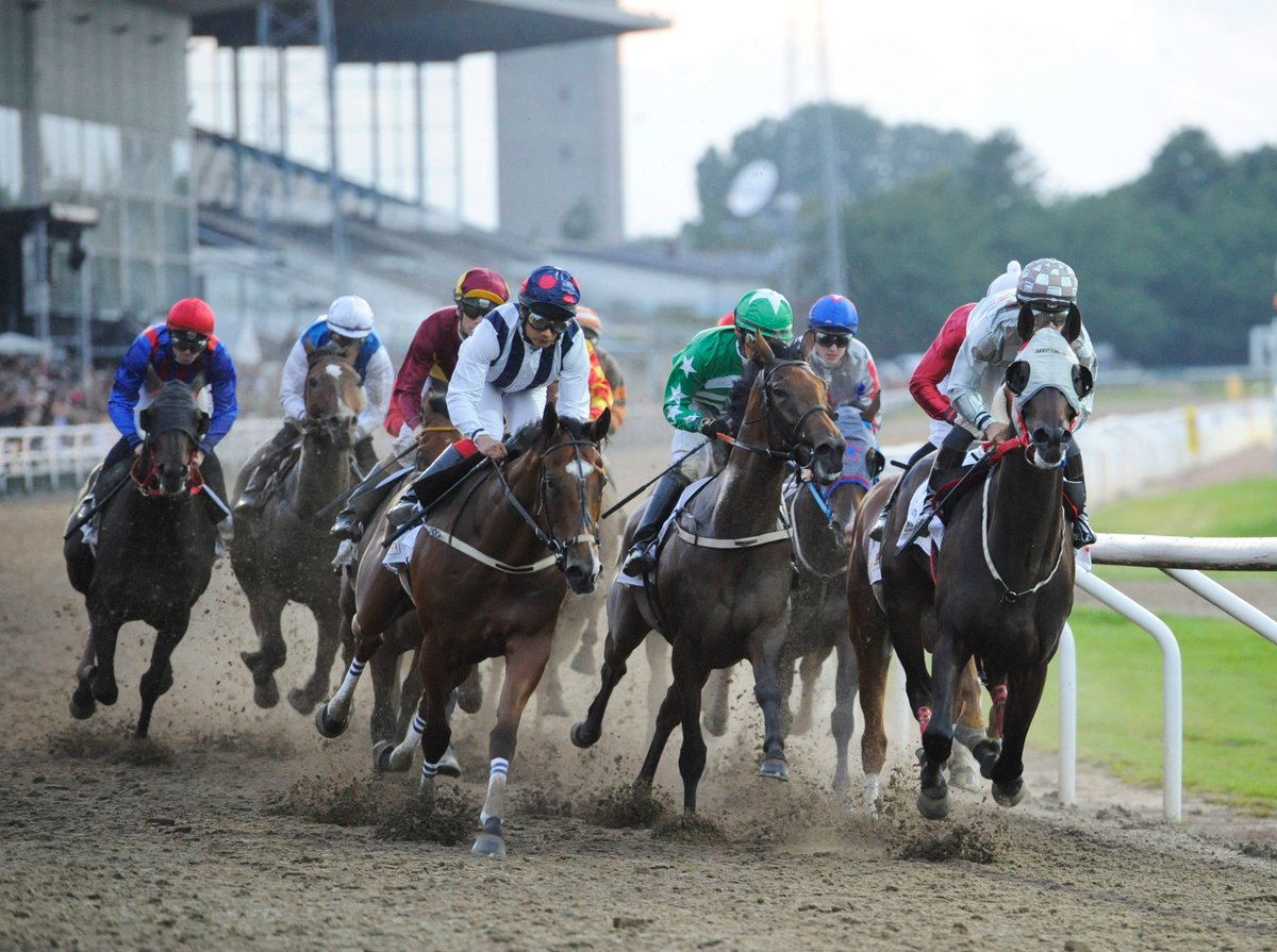 360 NorthHorseRacing tweet media