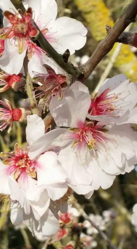 <a href="/ptbrazil/">Professora</a> <a href="/zailda/">Zailda Coirano</a> <a href="/zaildacoirano/">Zailda Coirano</a> <a href="/inglesdiadema/">Teacher</a> <a href="/espanholdiadema/">Maestra</a> <a href="/lvsosidiomas/">SOS Idiomas</a> <a href="/blogcoelho/">Coelho da Cartola</a> <a href="/GGDCry/">GrownGirlsDon'tCry</a> <a href="/fannykkito/">Fanny Kito</a>