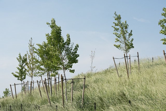Gov_Island's tweet photo. The grass is always greener on this side - Meet #GrassyHill! https://t.co/cghFCpUQS4