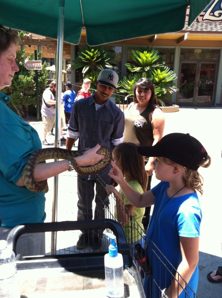 LAZoo's tweet image. RT @CyninLosFeliz: Animals & You time @LAZoo  #womapython #miles #python2x