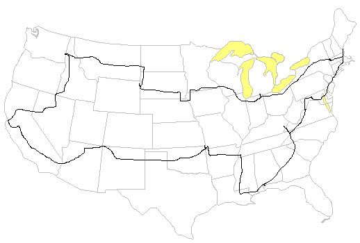 ExecImageAuto's tweet image. Planning a road trip? Here's the shortest coast-to-coast route through all 48 contiguous states.