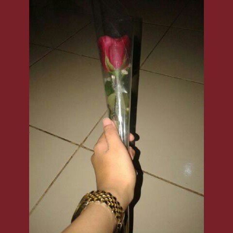 diahfarha's tweet photo. Kangen juga di datengin kerumah gak ngasih kabar dulu terus dibawain bunga gini😳😌😍🌹💐 https://t.co/MgpQrvFZcG