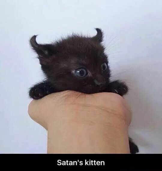 s8n's tweet photo. Want https://t.co/OIwg9Evx9V