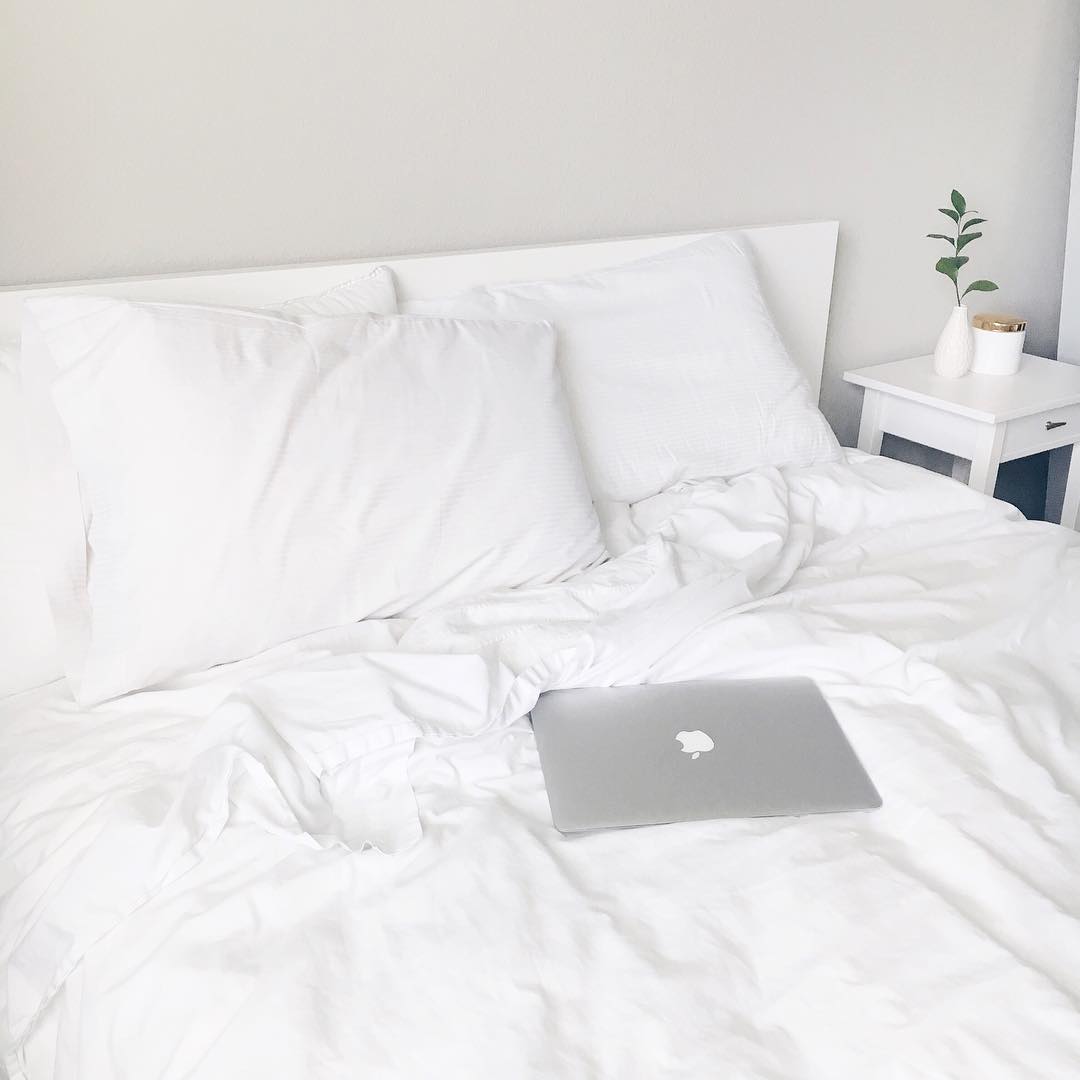 troveup's tweet photo. Lazy Sunday mornings https://t.co/59hdoapfiw