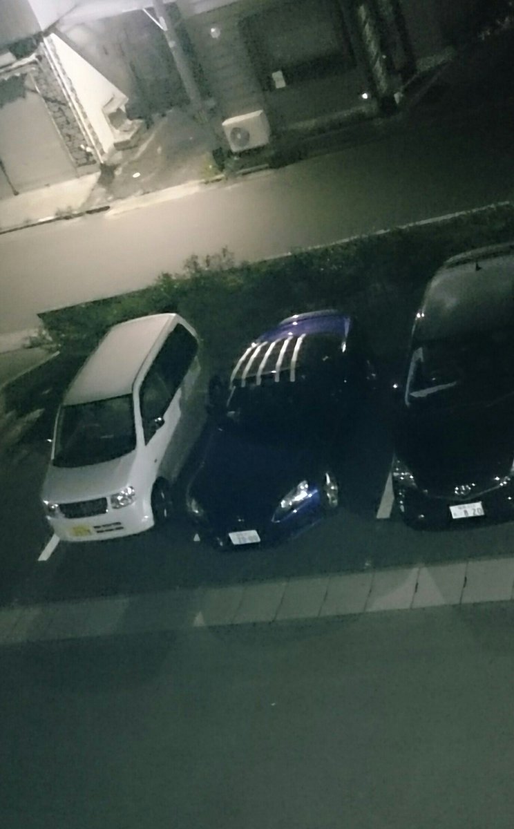 Flanker 最近猫が幌の上に乗って困ってます さっきも隣の車に猫が乗ってました 隣の車も猫 の毛とベトベトしたものが付いてて可愛そうです 餌付けされてるのか逃げません 犯人はこいつ一匹ですが非常に迷惑 対策としてガムテープを裏返して貼って様子見