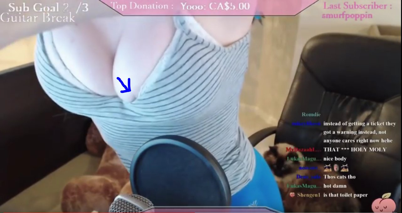 Twitch streamer slip