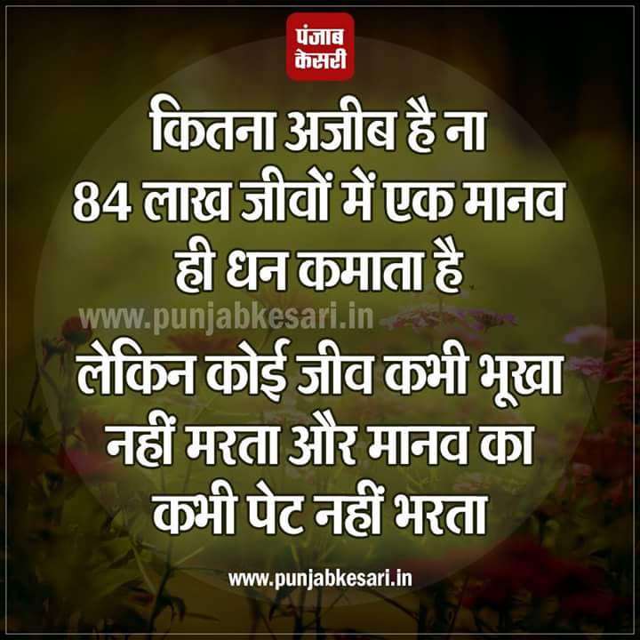 pandaybj's tweet image. 