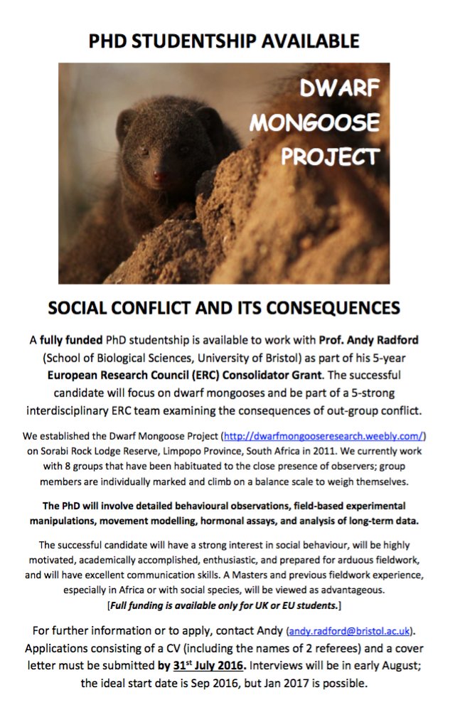 ASAB (@asab_org) on Twitter photo A fully funded PhD, University of Bristol: Social conflict and its consequences. With <a href="/Dwarf_Mongoose/">Dwarf Mongoose</a> A fully funded PhD, University of Bristol: Social conflict and its consequences. With <a href="/Dwarf_Mongoose/">Dwarf Mongoose</a>