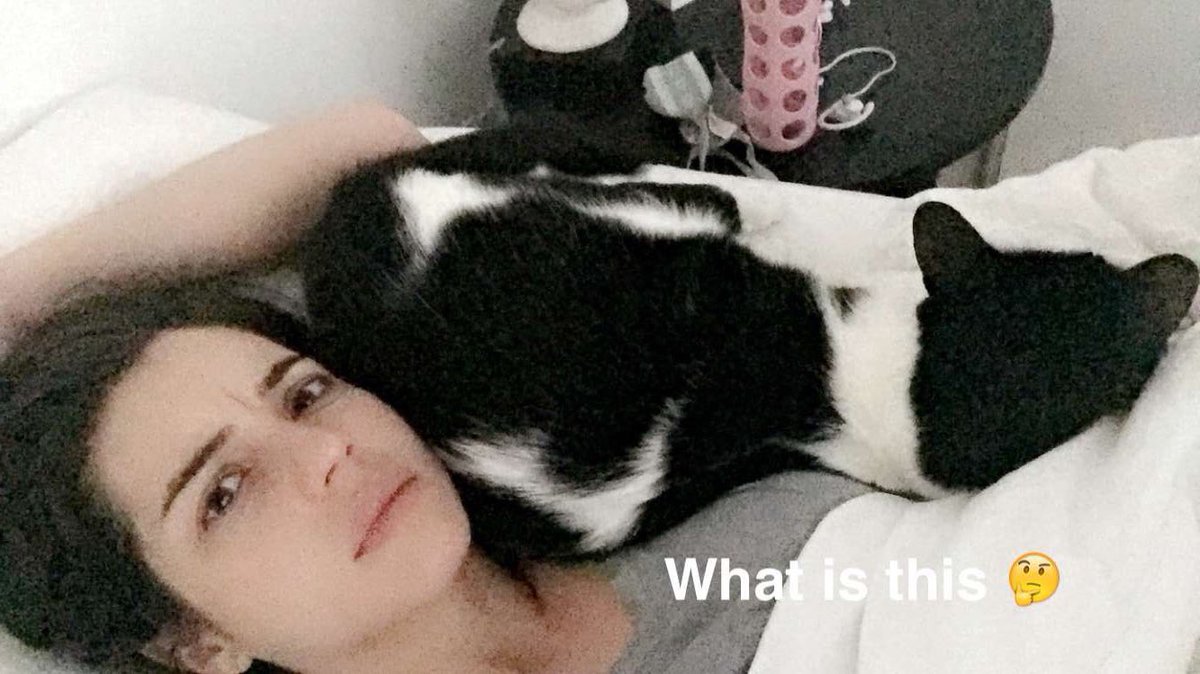 AdelaideKSource's tweet image. [PICTURES] New pictures uploaded on Adelaide&apos;s Snapchat story earlier [via sugarkane9 on Snapchat]