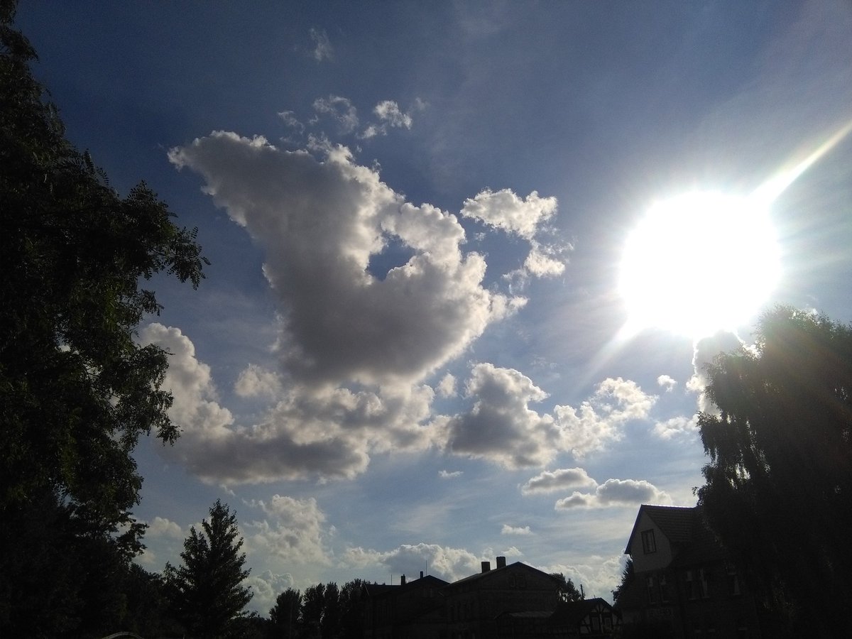 Andy981117's tweet photo. Endlich wird es wieder warm*-*
#sommer #sonne #sonnenschein https://t.co/3ezStIsSIA