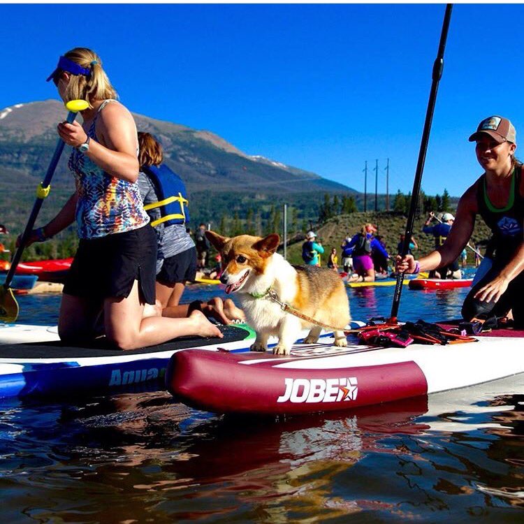 JobeWatersports's tweet image. Beautiful day in Colorado with all our new friends #suppups #jobesup2thepeople #sup 📷: Johannes Schneemann
