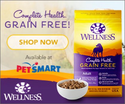 Kelly_Reci's tweet photo. Wellness® Natural Pet Food is our Choice #GrainFreeForMe https://t.co/WALs67BwFT #ad https://t.co/wAiRTspC9B