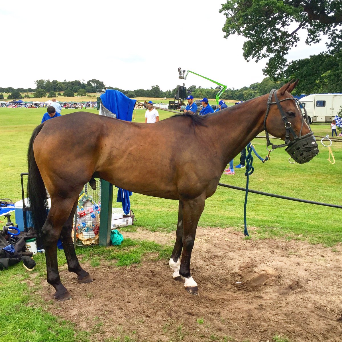 MARAGATA_POLO's tweet photo. Open Sarmiento (Open Sunset x Escarapela) BPP of the Gold Cup Final! Played by @facundopieres owned by @NegroDP https://t.co/Opek84k04y