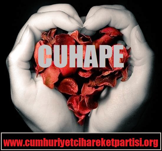 Askerimize düşmanlığını köstekleyen milletin gözünde Türk askerini güvenilmez gösteren kalleş Aktroller arasındayız!