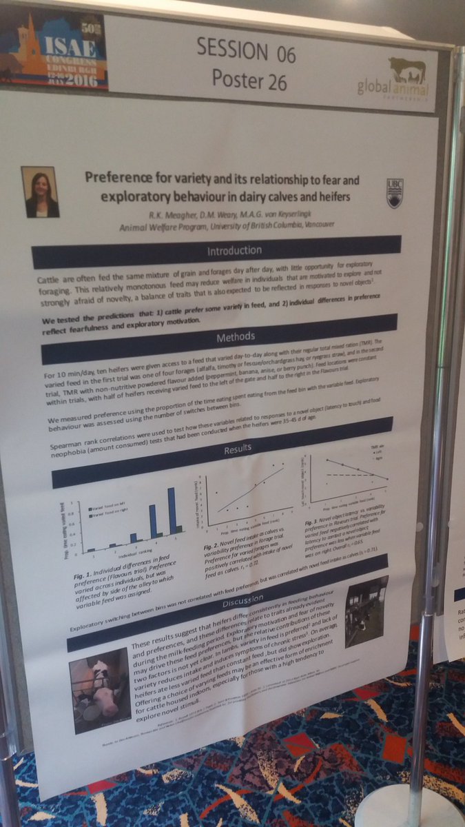 GoatsThatStare's tweet photo. Fear and explorative behavior in dairy calves and heifers by @rkmeagher #ISAE2016 https://t.co/0J8LhIEXrA
