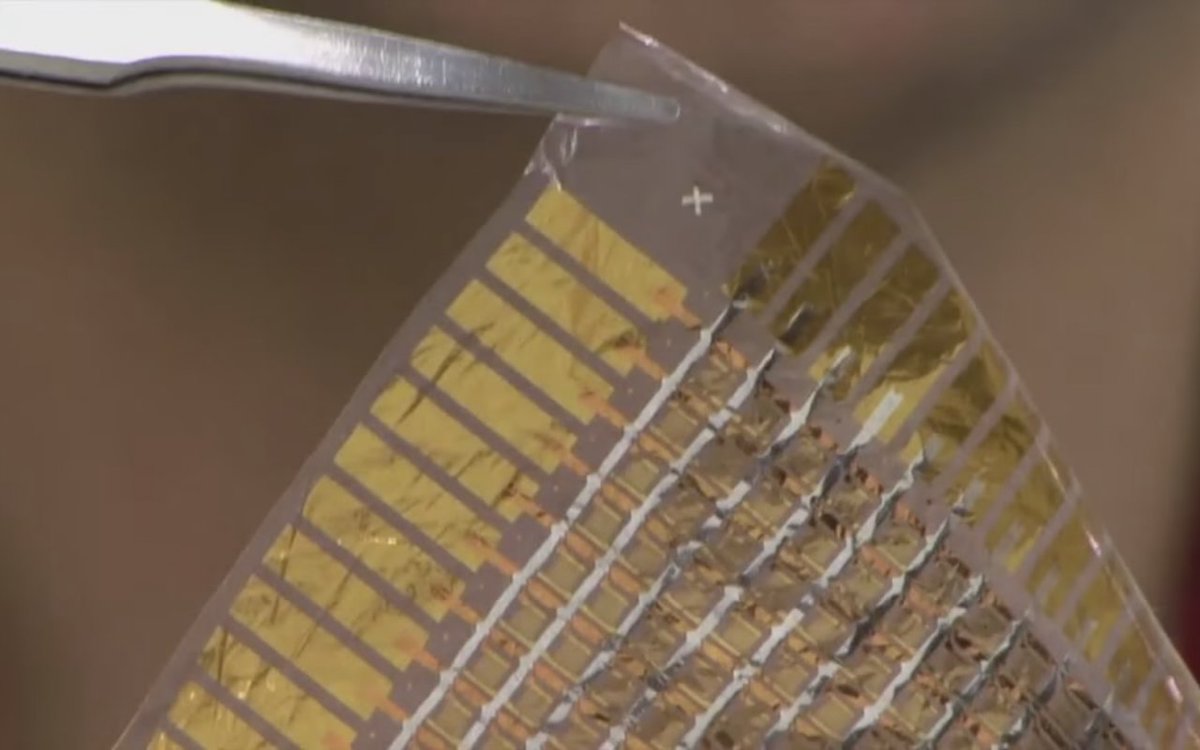 royalsociety's tweet photo. The latest wearable technology could be your skin https://t.co/4taywKePnk @NewStatesman https://t.co/xUfkt9aIo6