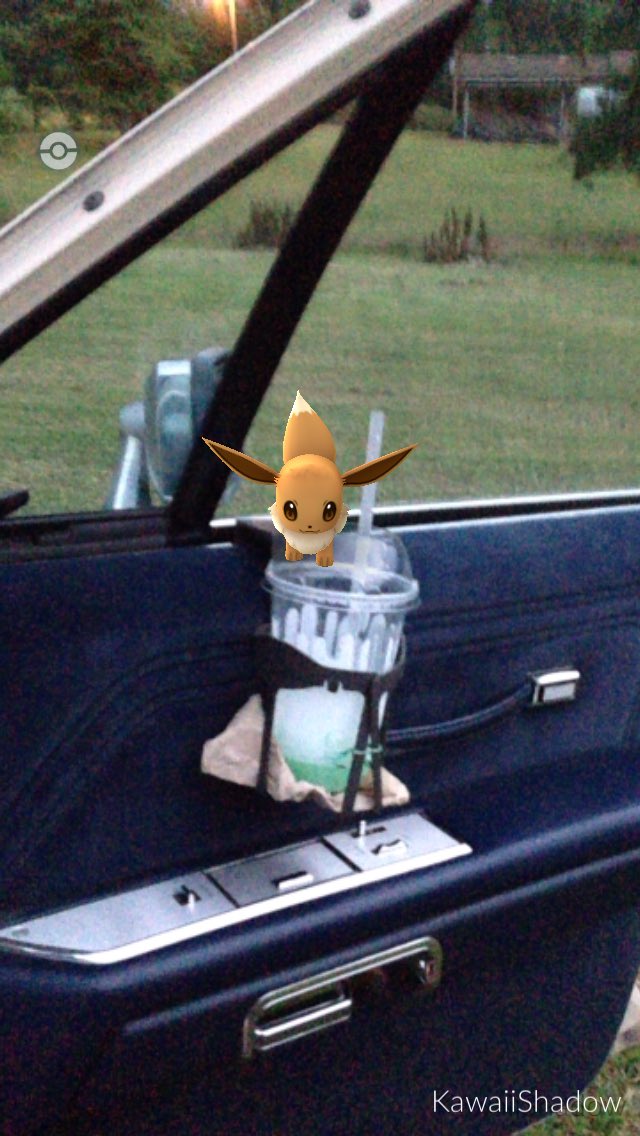Shadowed_Dragon's tweet image. Why is this Eevee peeing in my drink? #PokemonGO #why? #randomspot