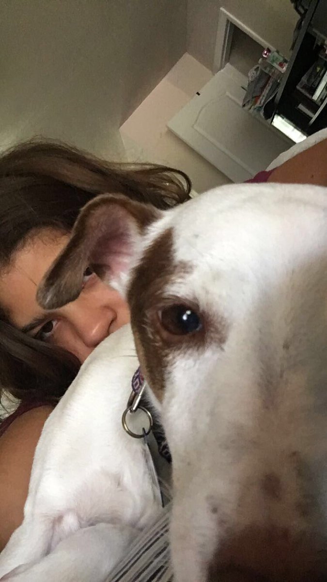 GinaSeda's tweet photo. We like photos https://t.co/pX8Zi2hXmB