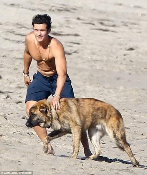 FlyingDutchma_'s tweet photo. Orlando e seus cachorros #Orlandobloom https://t.co/g4zp8CDNzK