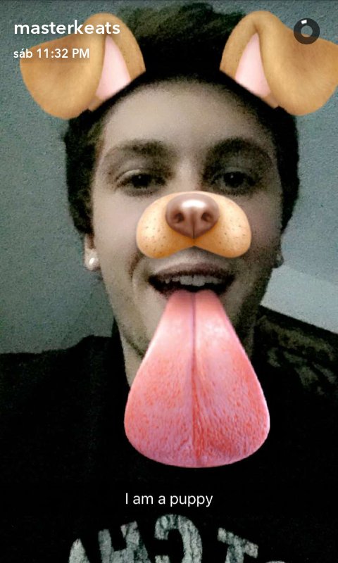 Emblem3Arg's tweet image. Keaton publico esta foto en su Snapchat, recientemente.

Es más tiernis Keats 🐶