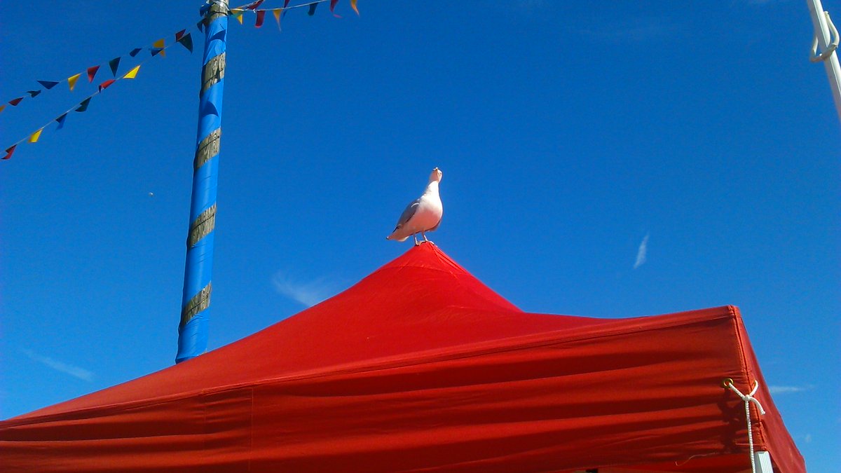 OrganMagazine's tweet photo. Organ: The @artcarbootfair, #Hastings, #seagulls, #sunshine and seaside treats https://t.co/4ji8eQk0Ko   #Art #VACBF https://t.co/nzYEI3WJEn